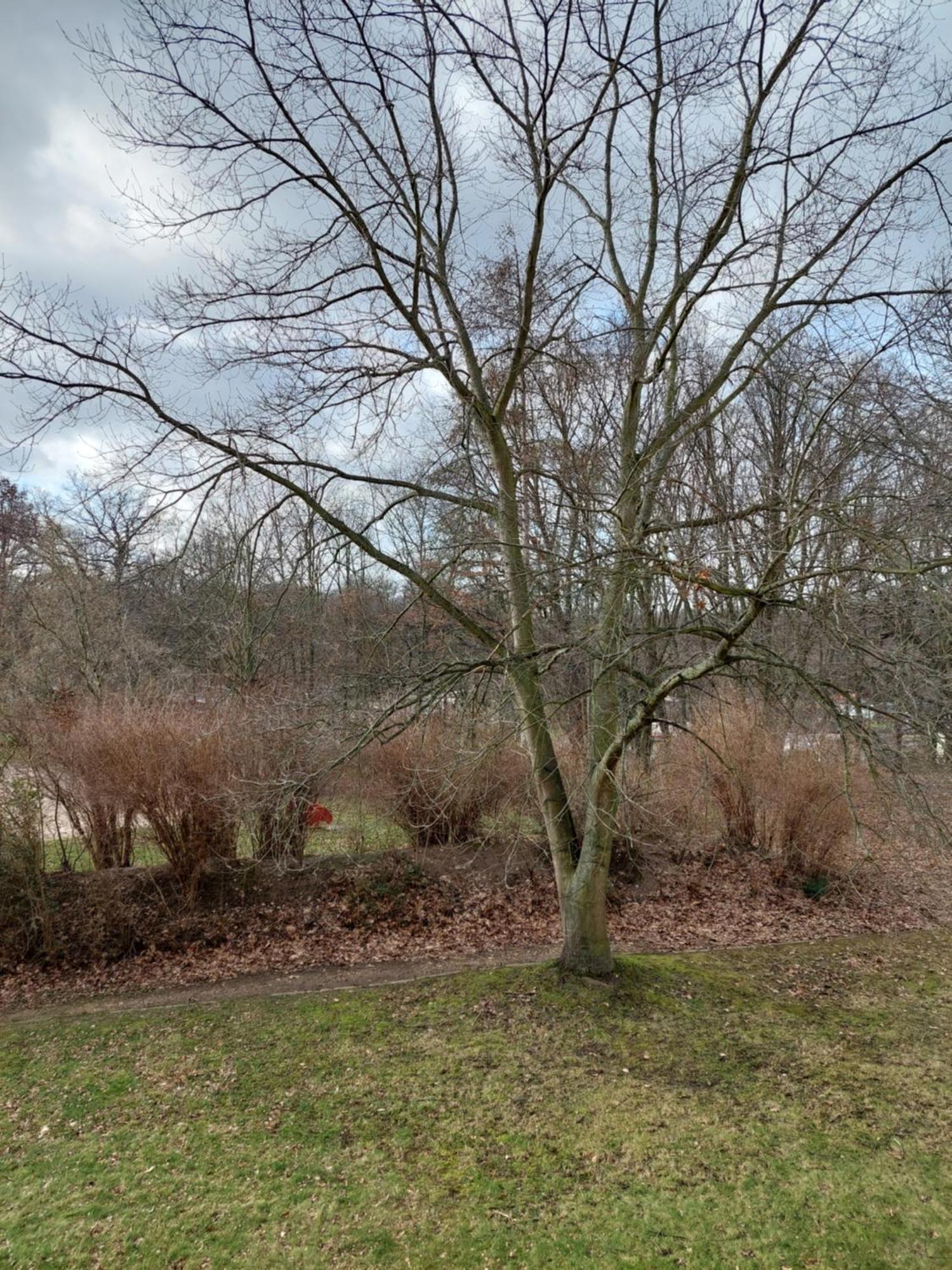 Apartmán Ruheort Zwenkau Exteriér fotografie